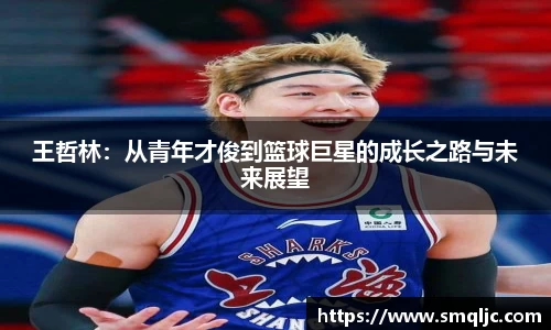 王哲林：从青年才俊到篮球巨星的成长之路与未来展望